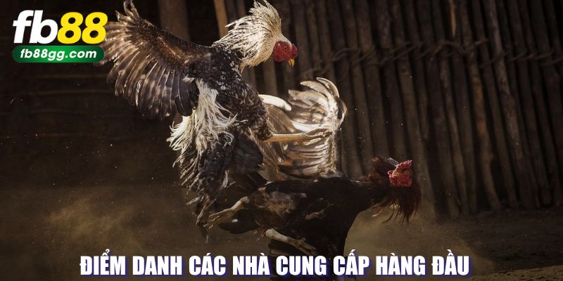 Nhà cung cấp đá gà FB88 hàng đầu