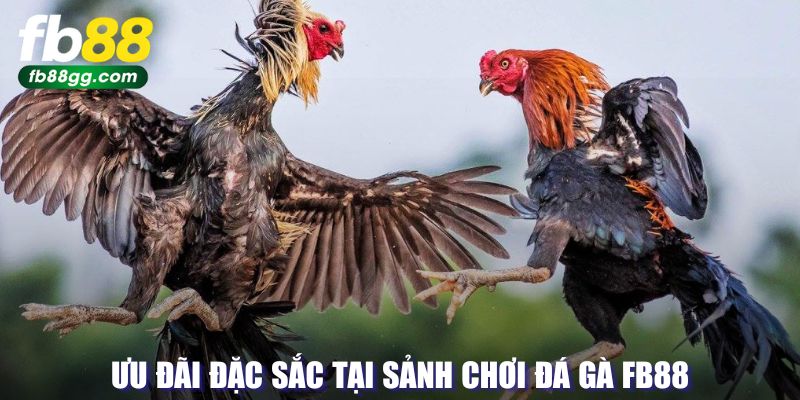 Ưu đãi đặc sắc tại sảnh chơi FB88