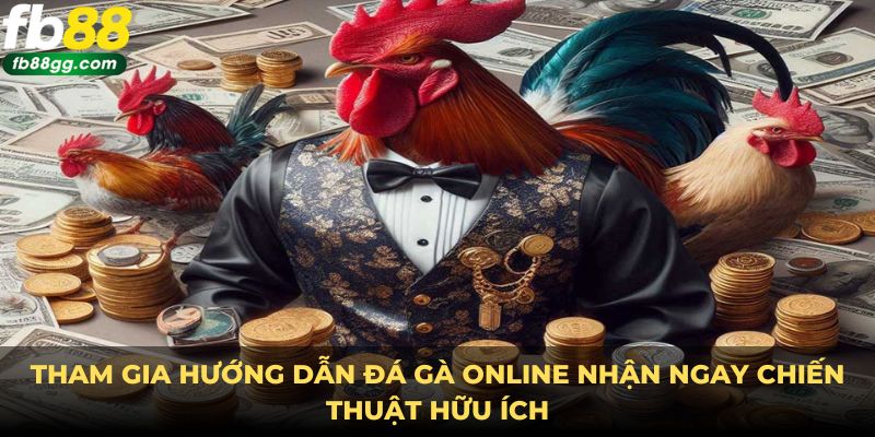 Tham gia hướng dẫn đá gà online nhận ngay chiến thuật hữu ích