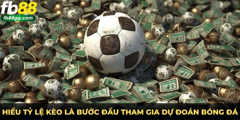 Hiểu tỷ lệ kèo là bước đầu tham gia dự đoán bóng đá